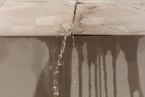 Professional Structural Drying technician working in De Leon Springs, FL